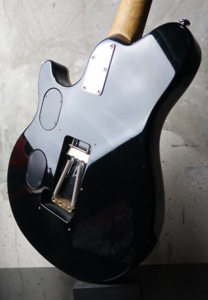 画像7: Music Man EVH Natural (7)