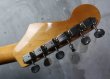 画像5: Fender USA Stratocaster w/FRT3 Steve Lukather Modified / Sunburst (5)