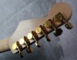 画像5: Jackson USA PC-1 Phil Collen Sustainer Mocha　 (5)