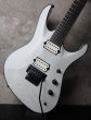 画像8: Jackson USA Chris Broderick Soloist Trans White  (8)