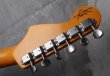 画像5: Fender Custom Shop David Gilmour Stratocaster Relic  (5)