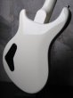 画像7: Paul Reed Smith SE Soapbar II / White (7)