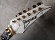 画像2: Ibanez JEM7V Steve Vai Signature '97 White w/ Ebony FB (2)