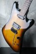 画像5: Fernandes M Sustainer  / Sunburst (5)