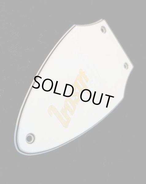 画像2: Gibson USA Flying V / Rod cover (2)