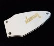 画像1: Gibson USA Flying V / Rod cover (1)