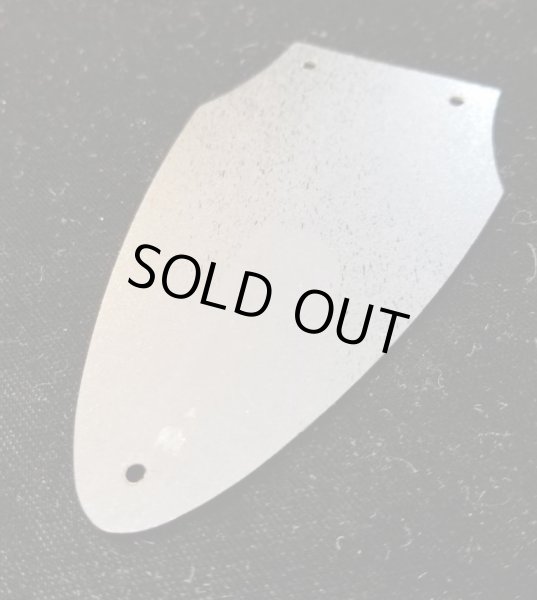 画像3: Gibson USA Flying V / Rod cover (3)