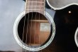 画像2: Takamine PT-106 / Gray Black Burst  (2)