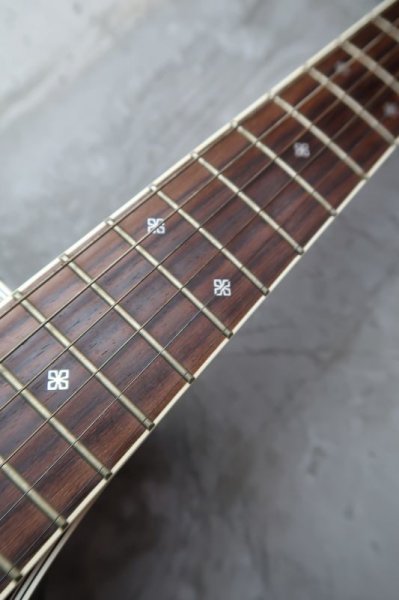 画像6: Takamine PT-106 / Gray Black Burst  (6)