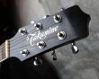 画像4: Takamine PT-106 / Gray Black Burst  (4)