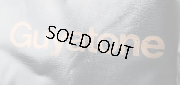 画像9: GUYATONE FLIP-1500 / BASS (9)