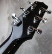 画像5: Takamine PT-106 / Gray Black Burst  (5)