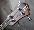 画像2: B.C. Rich '77 Eagle Bass KOA / Jacaranda (2)