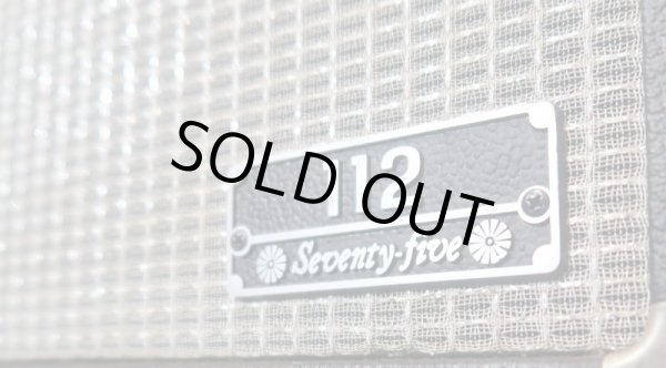 画像3: Music Man Seventy Five / 112  (3)