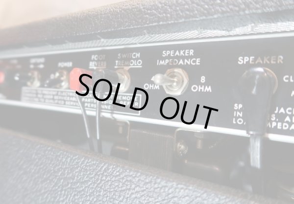 画像7: Music Man Seventy Five / 112  (7)