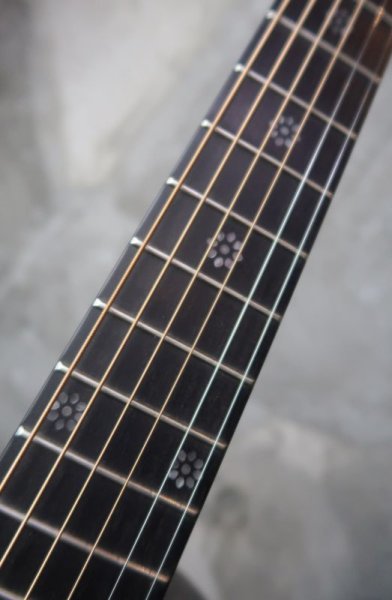 画像4: ARIA A19C-200S / N (4)