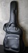 画像1: Soft Case fo Steinberger  GM/GR  (1)