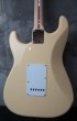 画像7: Y2022 / Fender USA Yngwie Malmsteen Signature Stratocaster / Rosewood (7)