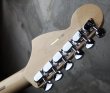 画像5: Y2022 / Fender USA Yngwie Malmsteen Signature Stratocaster / Rosewood (5)