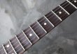 画像4: Y2022 / Fender USA Yngwie Malmsteen Signature Stratocaster / Rosewood (4)