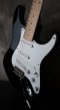 画像5: Fender USA Eric Clapton Signature Stratocaster / BLACKIE (5)