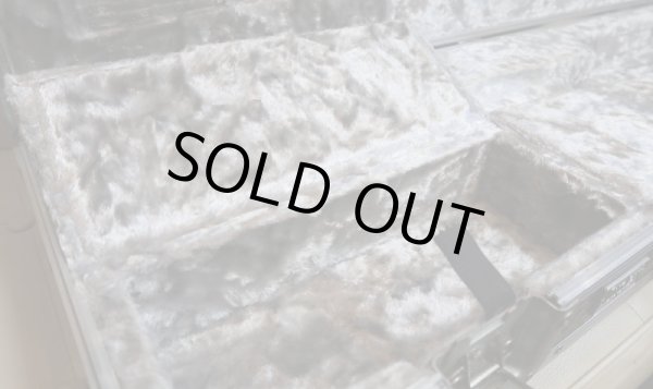 画像4: Steinberger Vintage Tours Case /  for GL  (4)