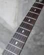 画像3: Music Man BFR JP-7 John Petrucci / Matching Head / Quilt Trans Ruby (3)