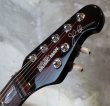 画像2: Music Man BFR JP-7 John Petrucci / Matching Head / Quilt Trans Ruby (2)