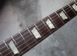 画像3: Gibson USA Les Paul  Joe Perry / Black Burst (3)