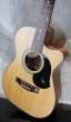 画像7: Maton Guitars  EBG 808 C (7)