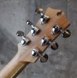 画像4: Maton Guitars  EBG 808 C (4)