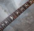 画像3: Paul Reed Smith Reclaimed Limited CE 24 / Semi-Hollow (3)