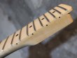 画像6: Warmoth   TELECASTER 22 Frets  Maple Neck / Right Handed Reverse (6)