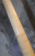 画像10: Warmoth   TELECASTER 22 Frets  Maple Neck / Right Handed Reverse (10)