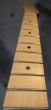 画像13: Warmoth   TELECASTER 22 Frets  Maple Neck / Right Handed Reverse (13)