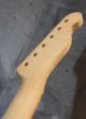 画像12: Warmoth   TELECASTER 22 Frets  Maple Neck / Right Handed Reverse (12)