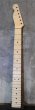 画像1: Warmoth   TELECASTER 22 Frets  Maple Neck / Right Handed Reverse (1)