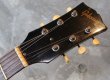画像2: Gibson USA ES-125  / TDC (2)