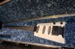 画像5: Steinberger Vintage Tours Case /  for GL  (5)