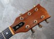 画像2: Gibson USA The SG '79 /  Walnut  (2)