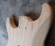 画像7: MusiKraft / Build a Vintage Strat® (7)