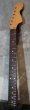 画像1: USACG  US3 Peghead strato ROASTED Quartersawn Maple Neck (1)