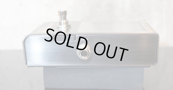 画像2: Peterson Strobo Stomp HD pedal strobe tuner (2)