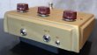 画像3: Klon CENTAUR Gold Case  Long Tail (3)