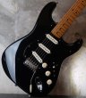 画像11: Fender Custom Shop David Gilmour "NOS"   Stratocaster  (11)