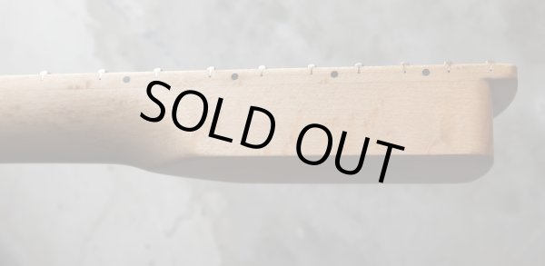 画像11: MusiKraft /  Franky Neck Custom Build / Birdseye Maple (11)