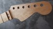 画像3: MusiKraft /  Franky Neck Custom Build / Birdseye Maple (3)