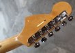 画像7: Fender USA Yngwie Malmsteen Signature Stratocaster / Rosewood  USED (7)