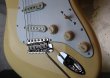 画像11: Fender USA Yngwie Malmsteen Signature Stratocaster / Rosewood  USED (11)