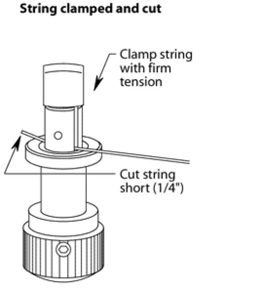 画像7: Steinberger Gearless "Chrome" Single  mount string locking Tuner Peg's  6個入り1Set (7)